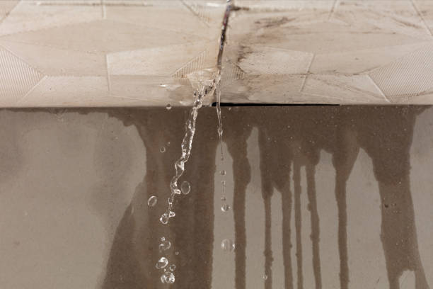 Professional Sewage Cleanup technician working in Angelus Oaks, CA
